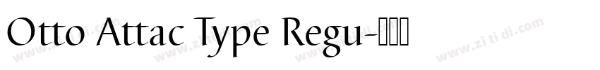 Otto Attac Type Regu字体转换